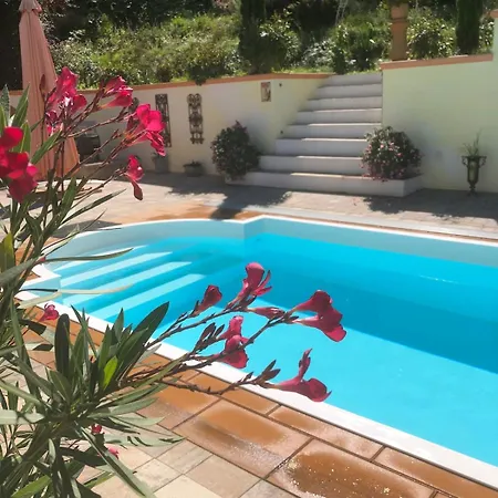 Mit Pool Im Seusslitzer Grund *