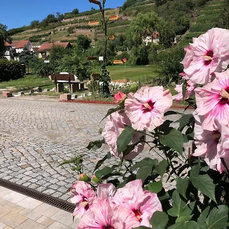 Mit Pool Im Seusslitzer Grund Nyaraló