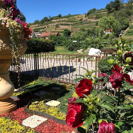 Mit Pool Im Seusslitzer Grund *