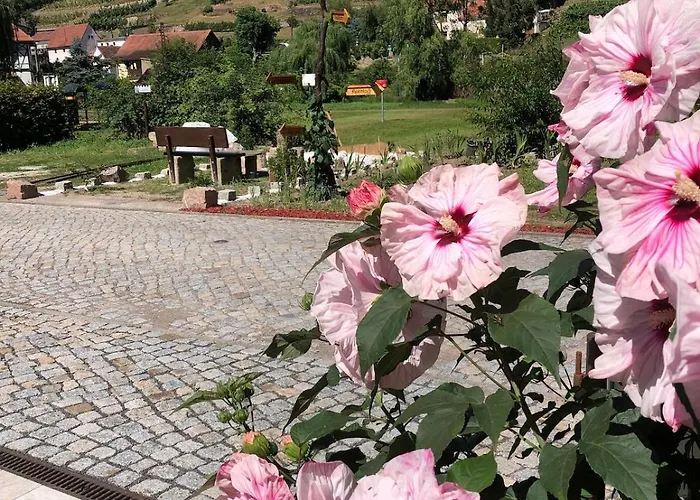 Mit Pool Im Seusslitzer Grund Feriehus
