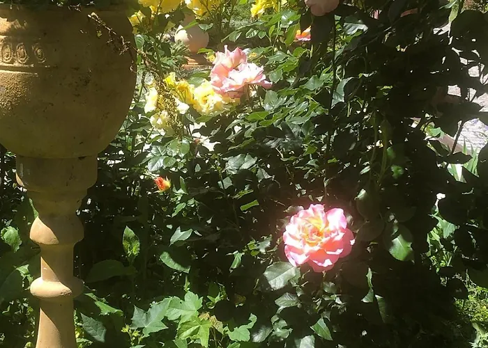 Feriehus Mit Pool Im Seusslitzer Grund *