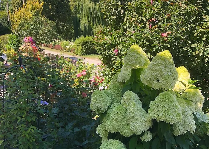 Feriehus Mit Pool Im Seusslitzer Grund