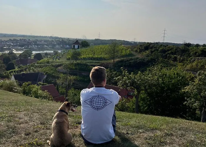 Feriehus Mit Pool Im Seusslitzer Grund *